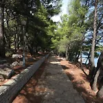 Pinus * Врбоска