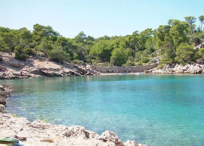 Pinus * فربوسكا