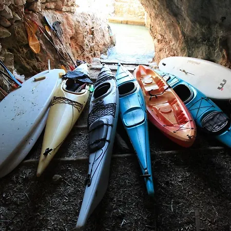 Pinus ורבוסקה