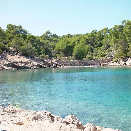 Pinus * Vrboska
