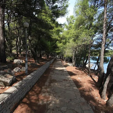 Pinus * Vrboska
